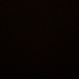 Meet your Posher, Mona